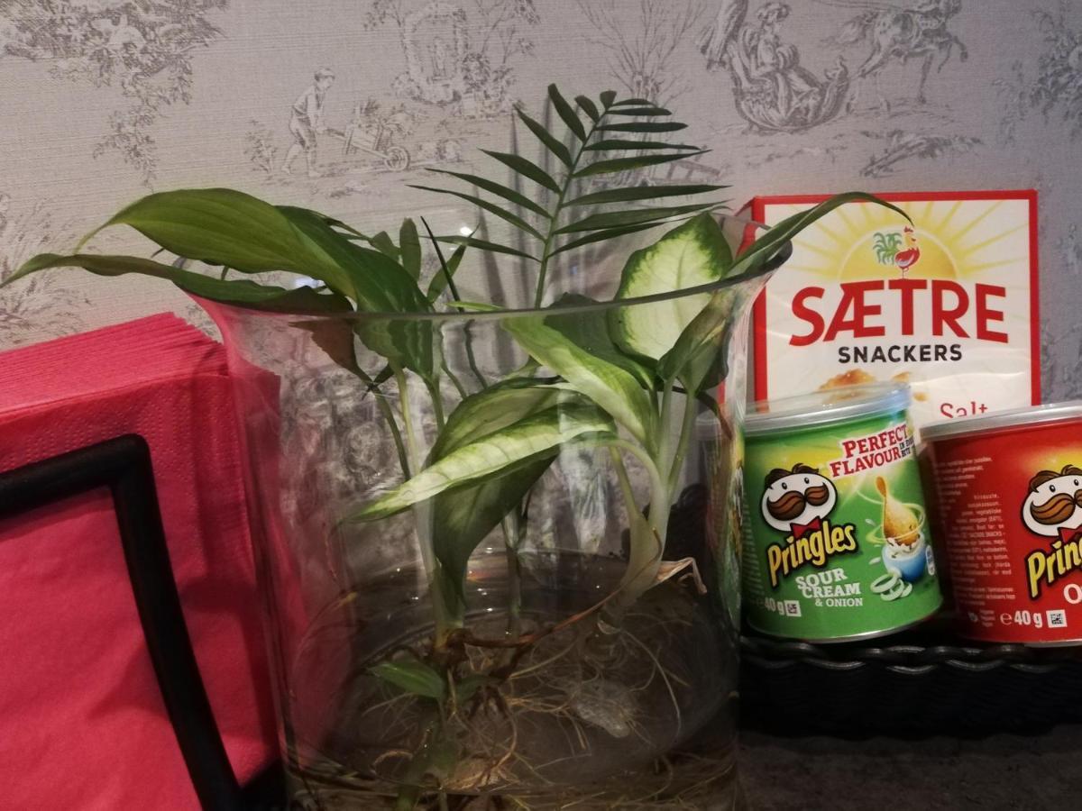 The Little * Sola